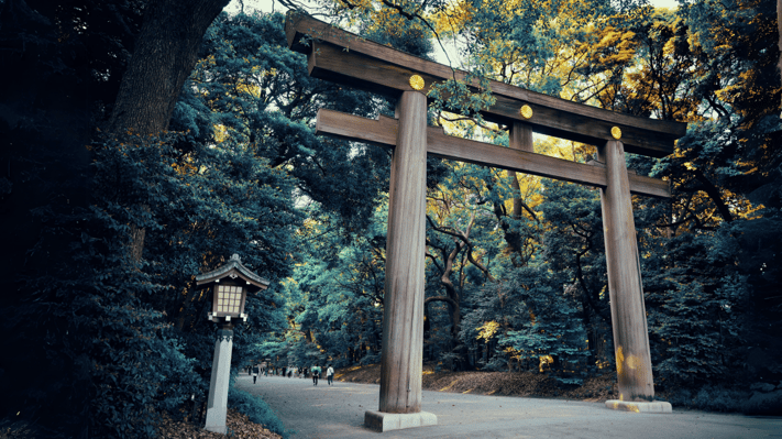 明治神宮について｜歴史や概要を詳しく解説